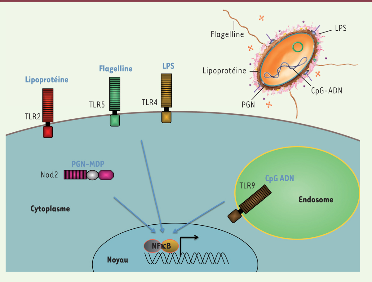 Figure 2.