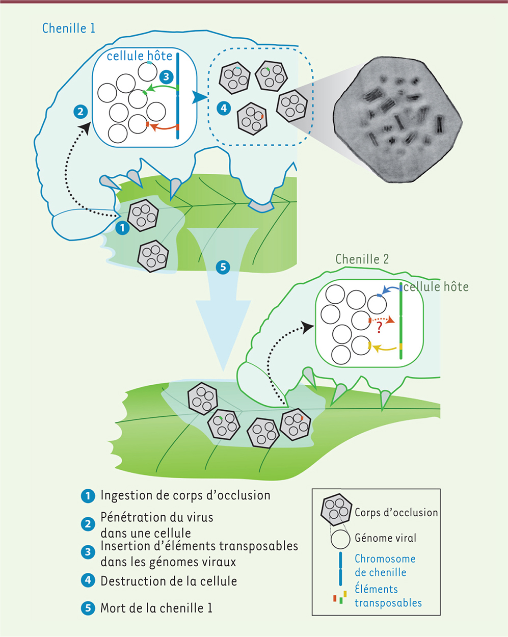 3Figure 1.