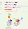 Figure 2. Figure 2.