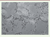 Figure 2. Figure 2.