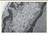 Figure 5. Figure 5.