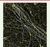Figure 6. Figure 6.