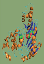 inline-graphic medsci2016322sp12-img1.jpg