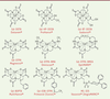 Figure 2. Figure 2.
