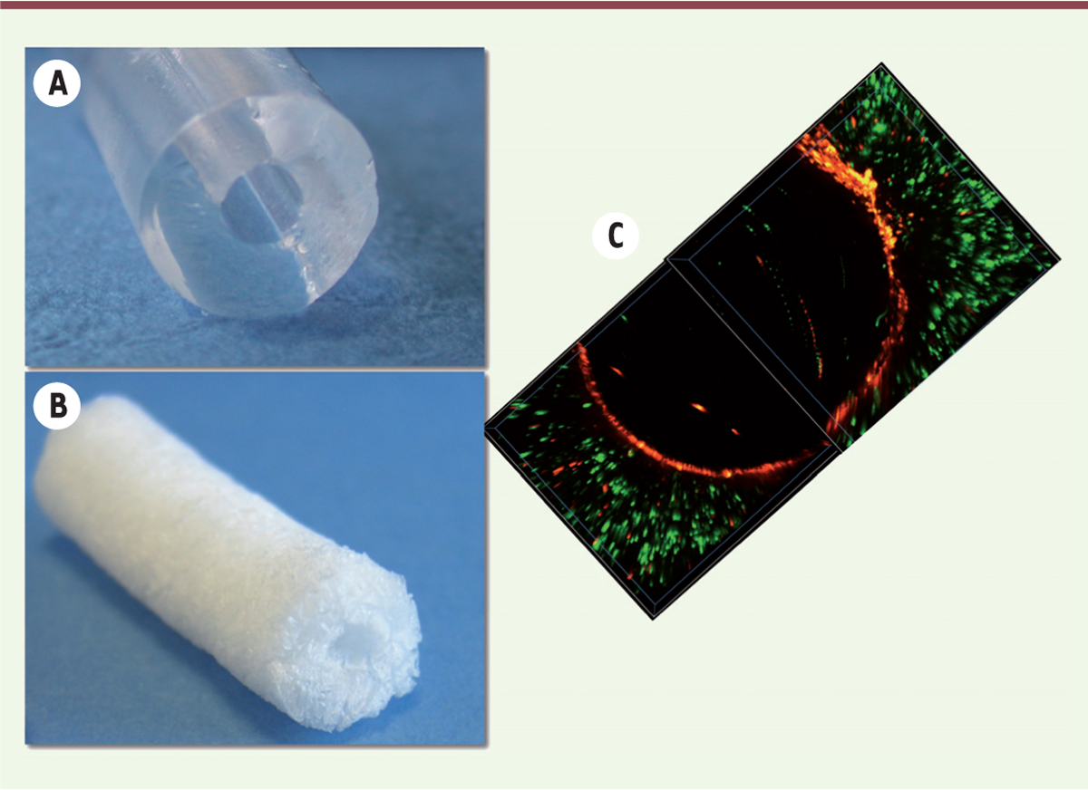 Figure 2.
