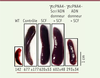 Figure 2. Figure 2.