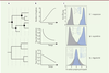 Figure 1. Figure 1.