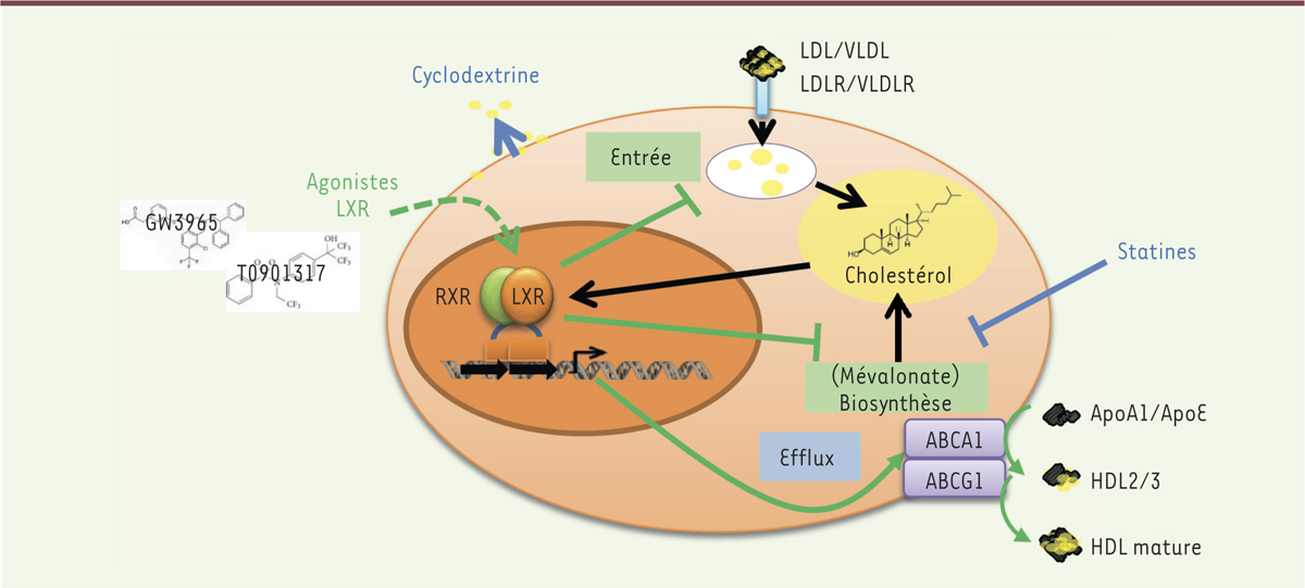 Figure 1.