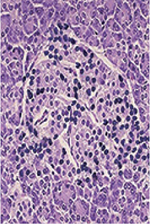 inline-graphic medsci2017336-7p653-img1.jpg