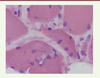 Figure 1. Figure 1.