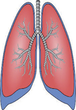 inline-graphic medsci201733s1p27-img1.jpg