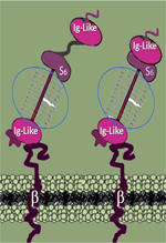 inline-graphic medsci201733s1p58-img1.jpg