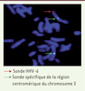 Figure 1. Figure 1.
