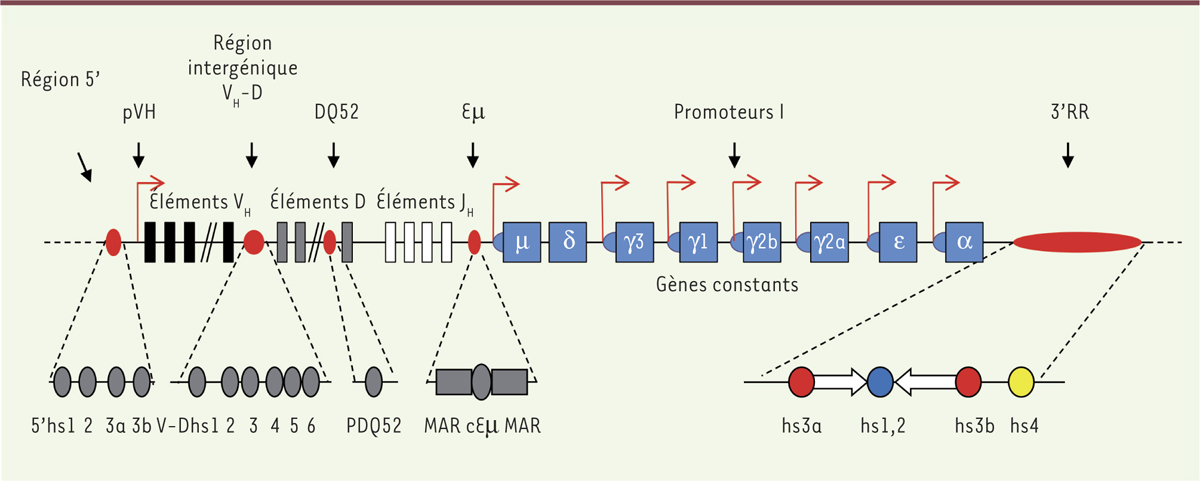 Figure 2.