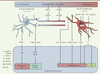 Figure 3. Figure 3.
