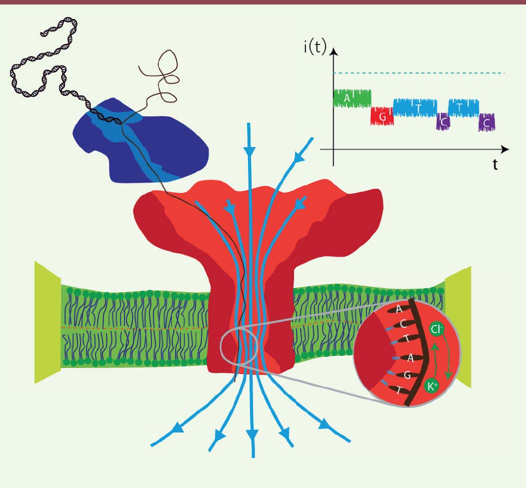 Figure 3.