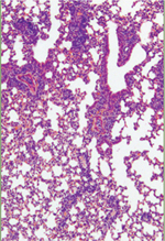 inline-graphic medsci2018343p247-img1.jpg