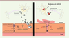 Figure 2. Figure 2.