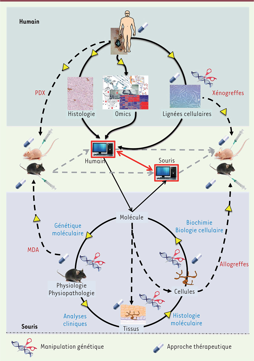 Figure 4.