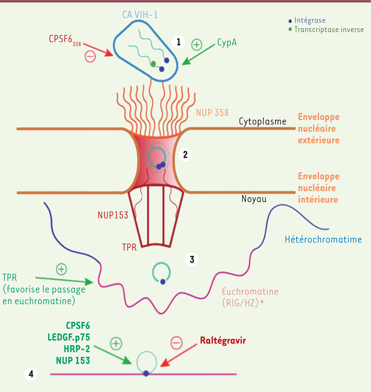 Figure 1.