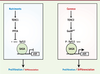 Figure 2. Figure 2.