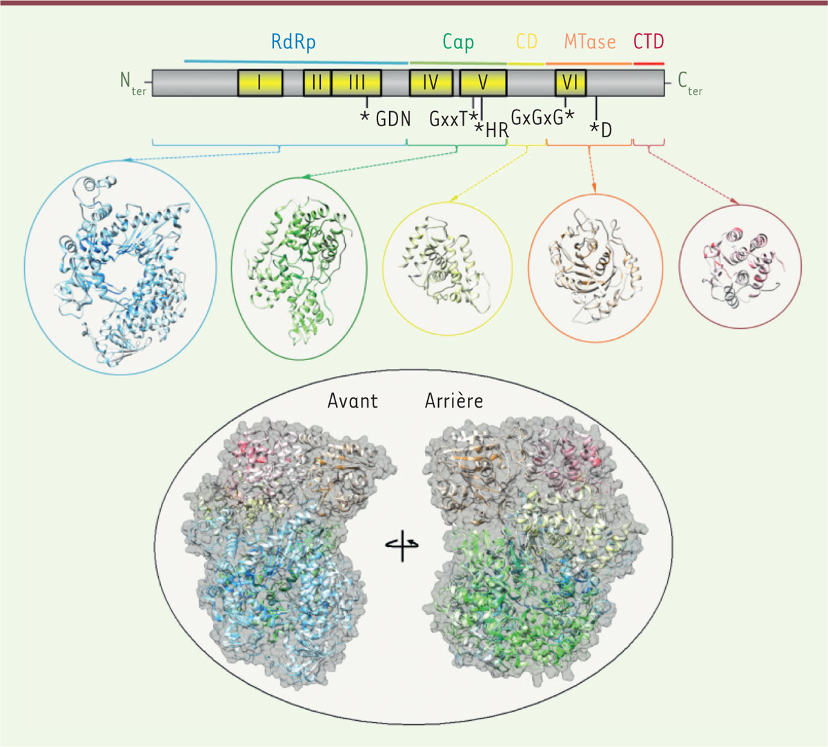 Figure 1.