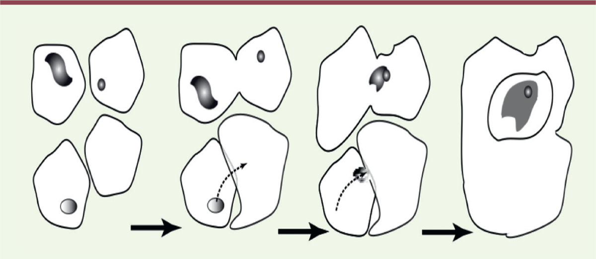 Figure 2.