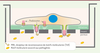 Figure 3. Figure 3.