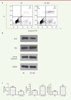 Figure 3. Figure 3.