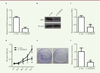 Figure 4. Figure 4.