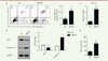 Figure 4. Figure 4.
