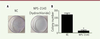 Figure 3. Figure 3.